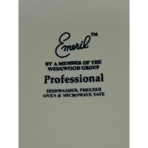 Emeril by Wedgwood Group Adobe Clay Salad Plate. KT142 - Picture 3 of 3